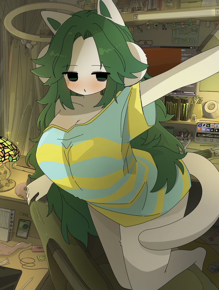 ミケの人😸 tweet media