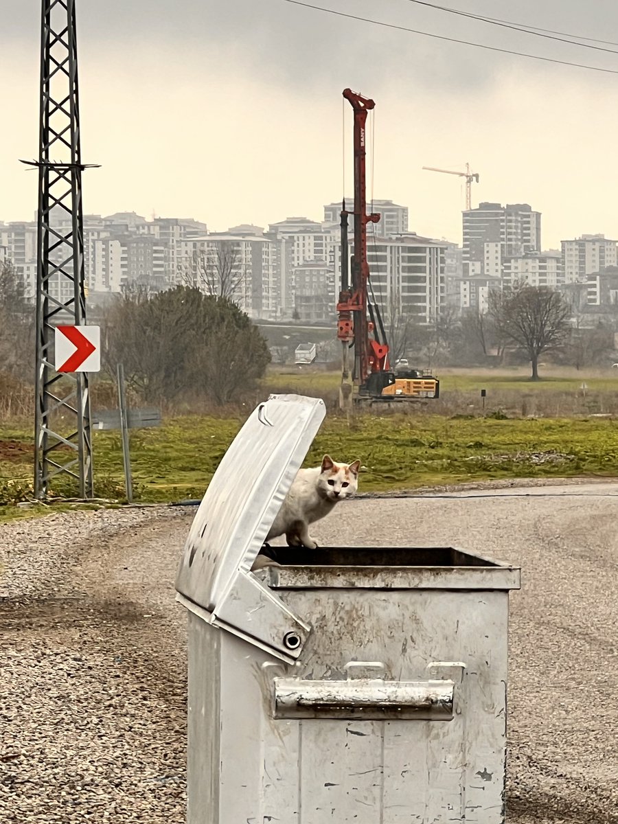 OnNumara tweet media