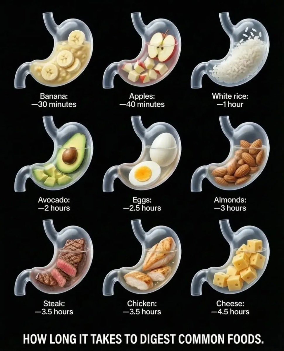 KNOWLEDGE POINT tweet media