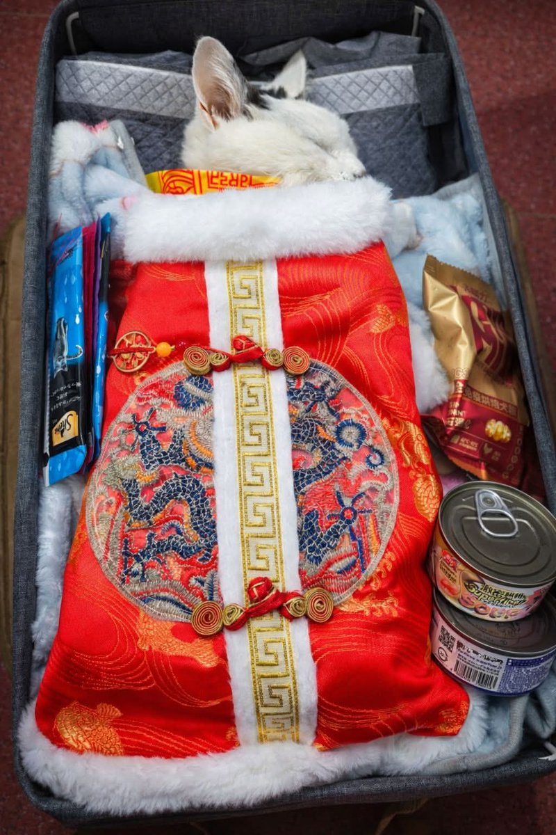 Eliana Alice tweet media