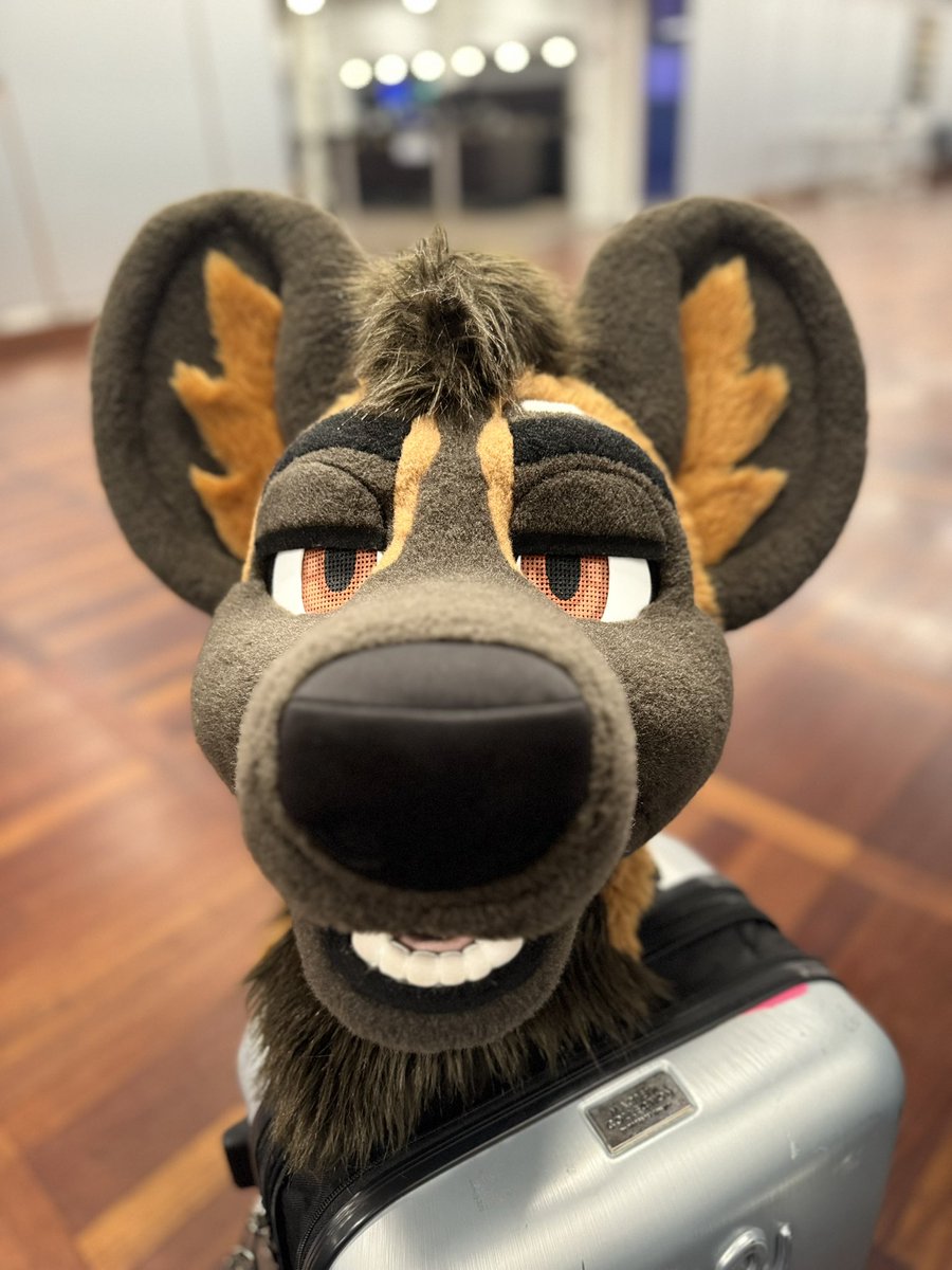 Voss 🔜 New Haven 🍕 tweet media