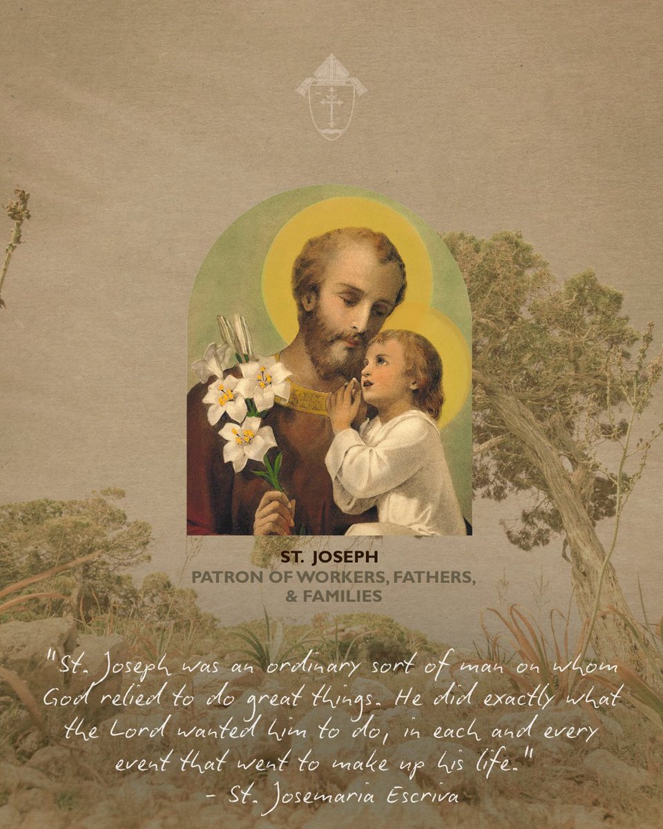 Archdiocese of St. Louis tweet media