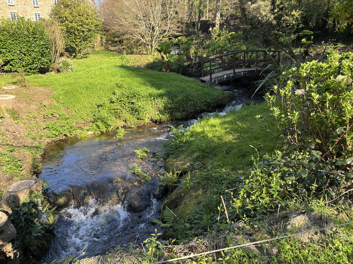 Inspecteur BreizHibou tweet media