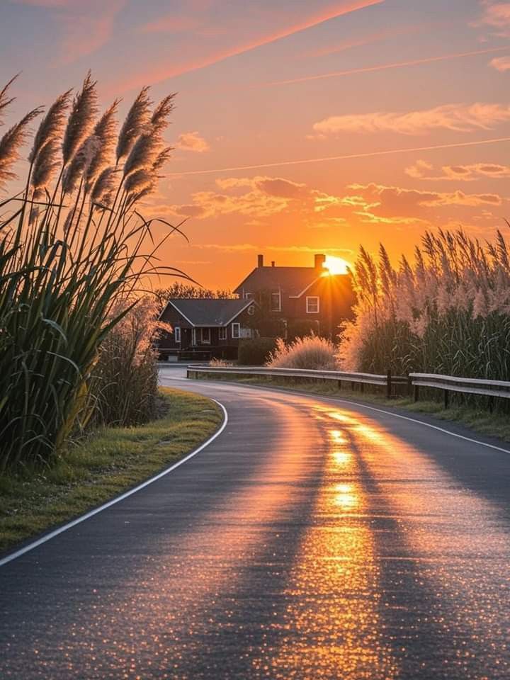 Zoni🦋 tweet media