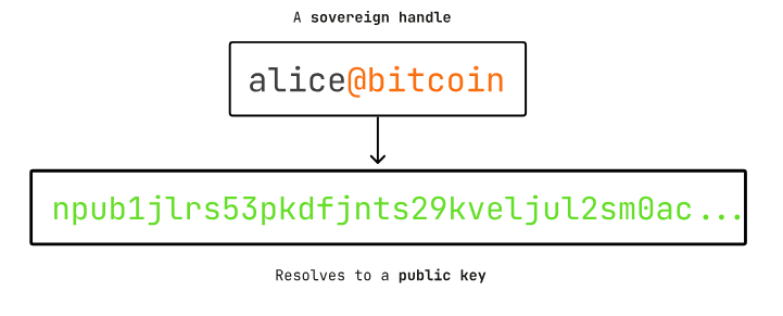 curious@bitcoin tweet media