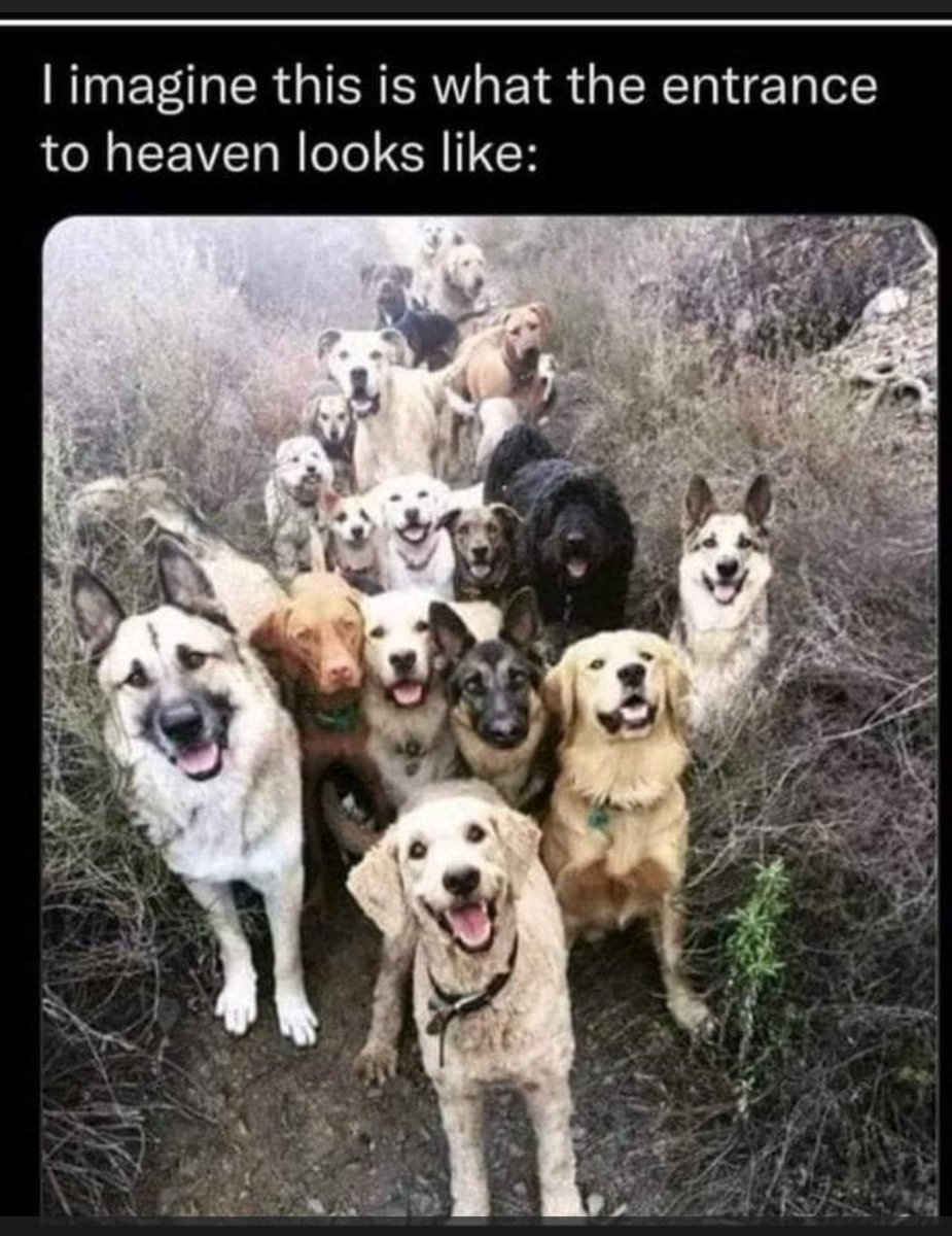 BigBadJohn1656®️🇺🇸 tweet media