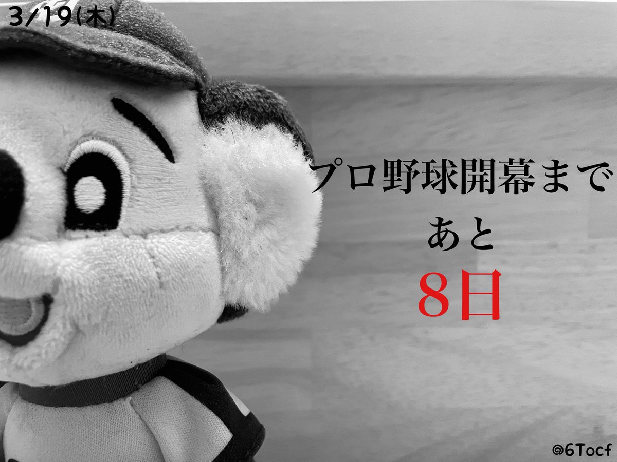 ただの野球好き tweet media