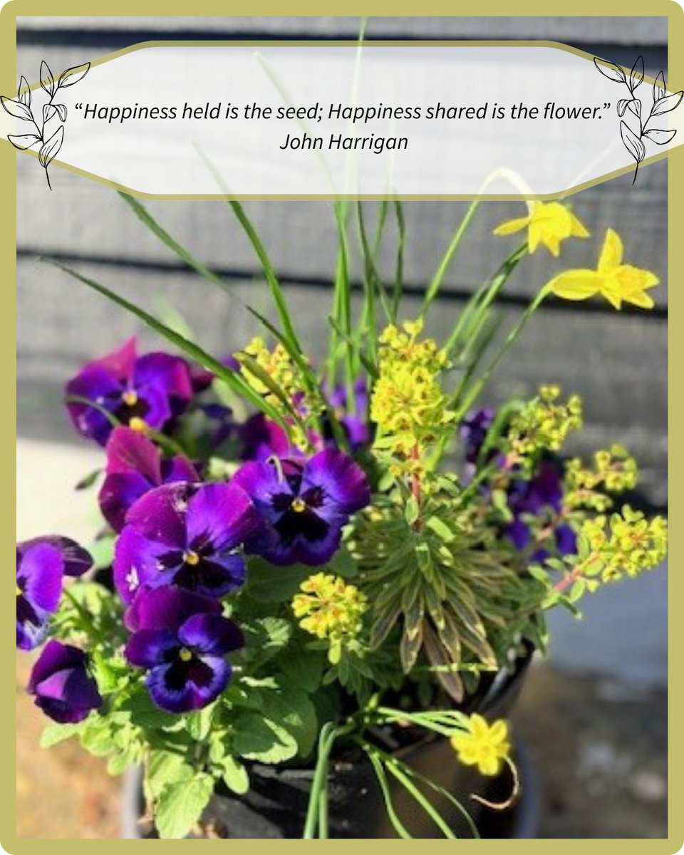 Home-Start Royston, Buntingford & South Cambs tweet media