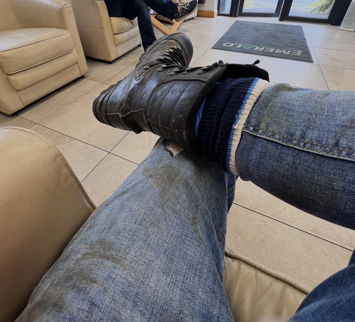 WORKER JOHNNY 🇮🇪🐷💪 tweet media