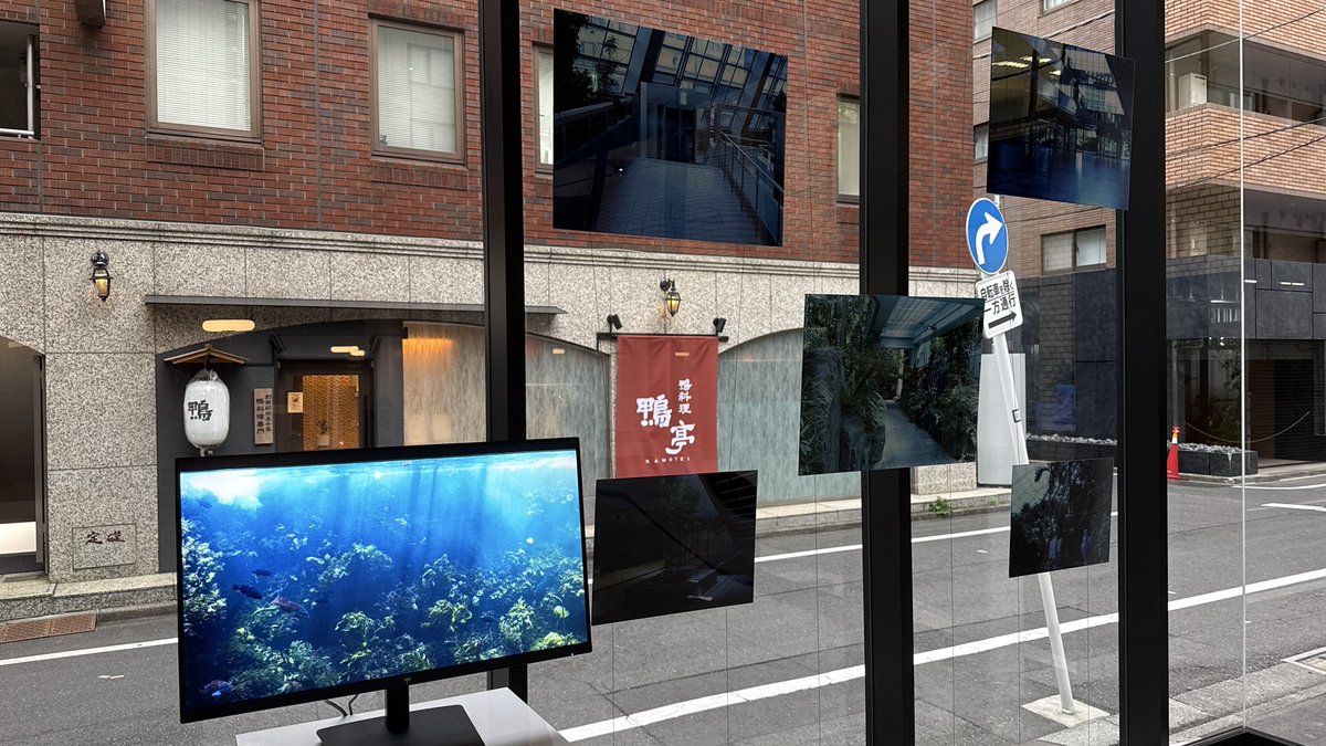 テトラ tweet media