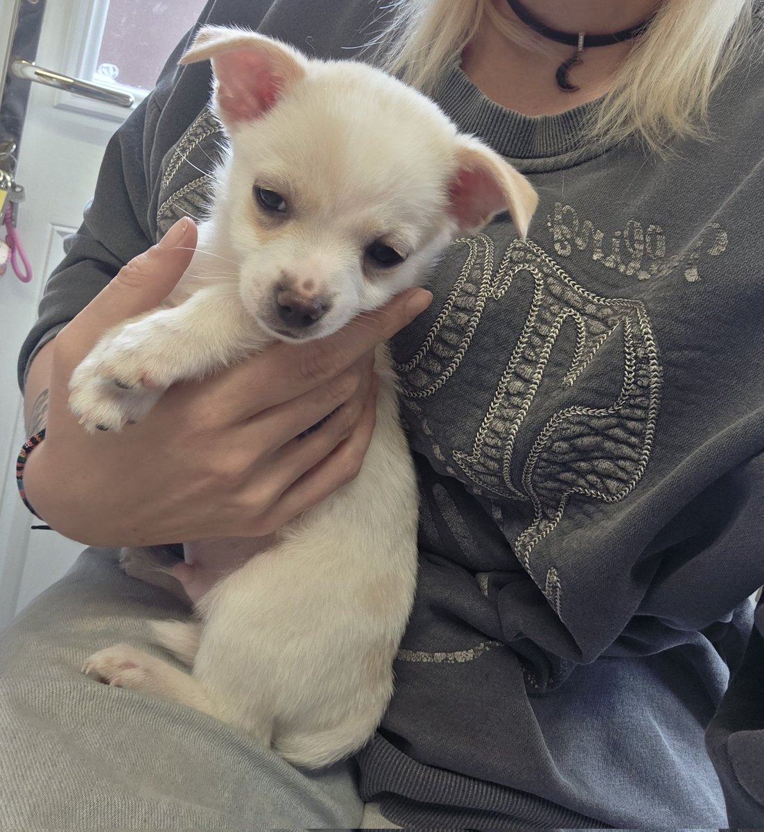 GT Forbidden ♡ tweet media