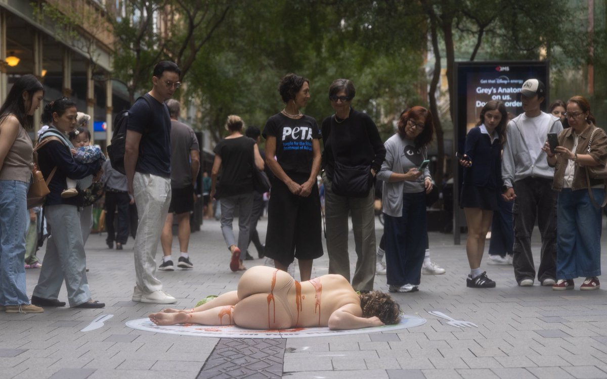 Stefania Ferrario tweet media