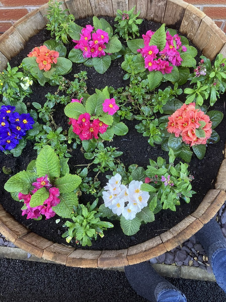 Peter Plant tweet media