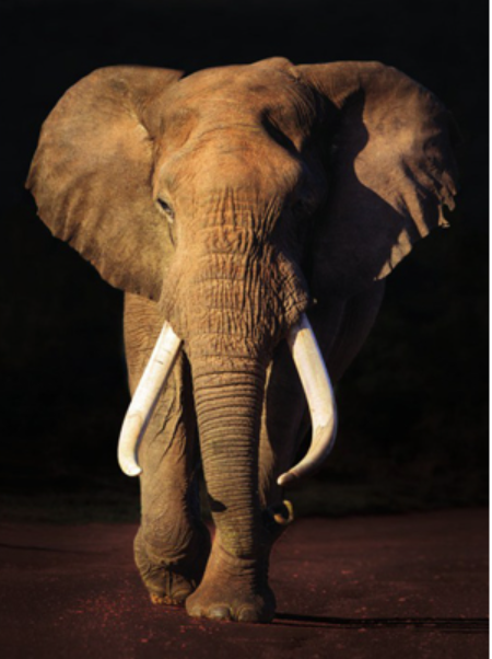 The Postcard Store tweet media