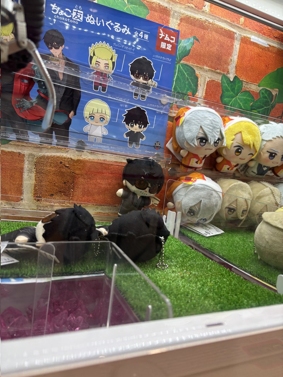 ジョン！！ tweet media