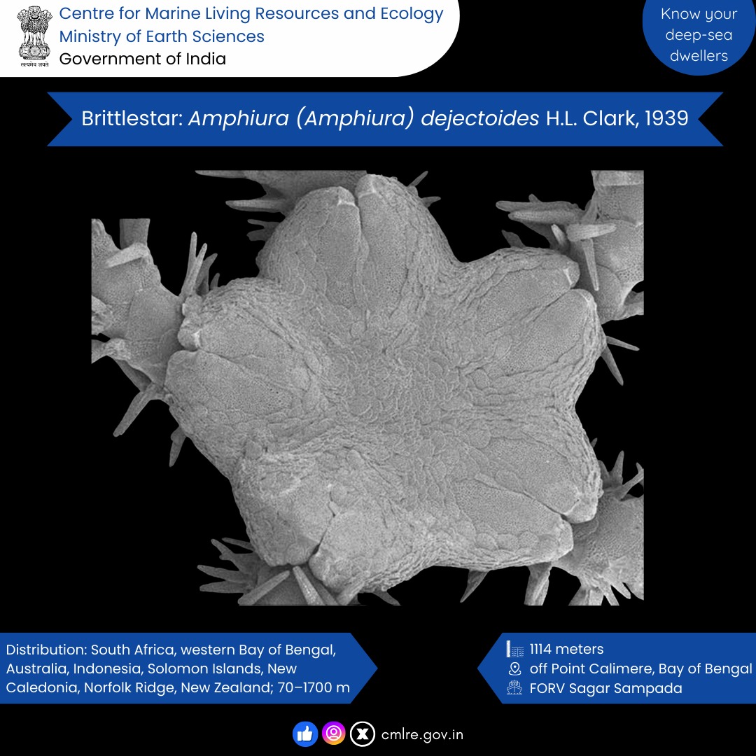 Centre for Marine Living Resources and Ecology tweet media