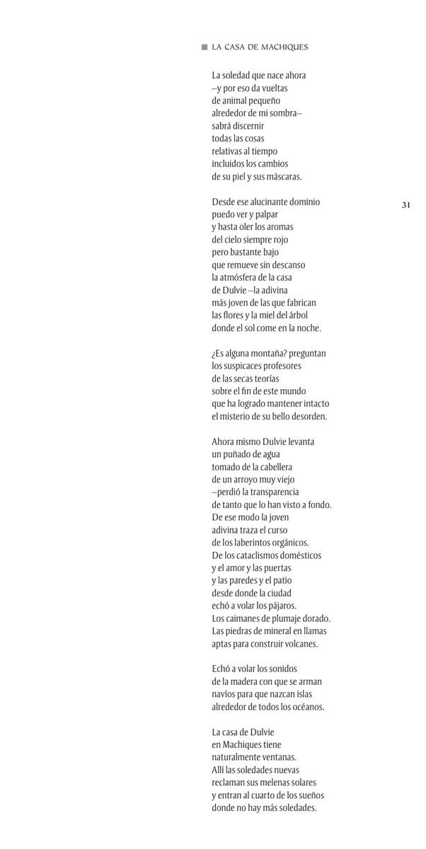 Team Poetero tweet media