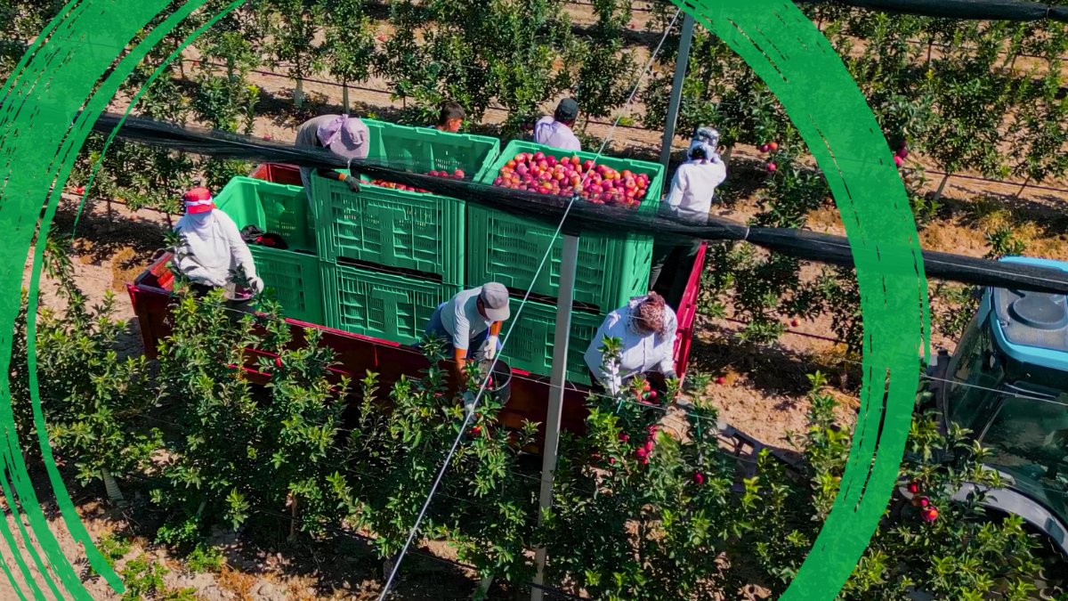 World Bank Europe and Central Asia tweet media