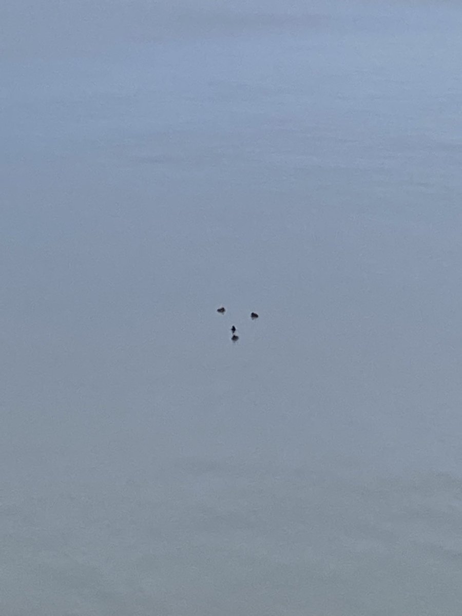 Mark Munch Bishop tweet media