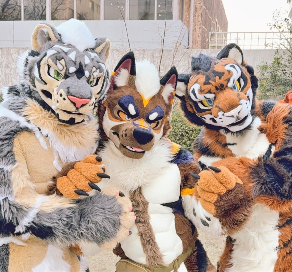 Alex Tiger ꉂꉂ🐯 tweet media