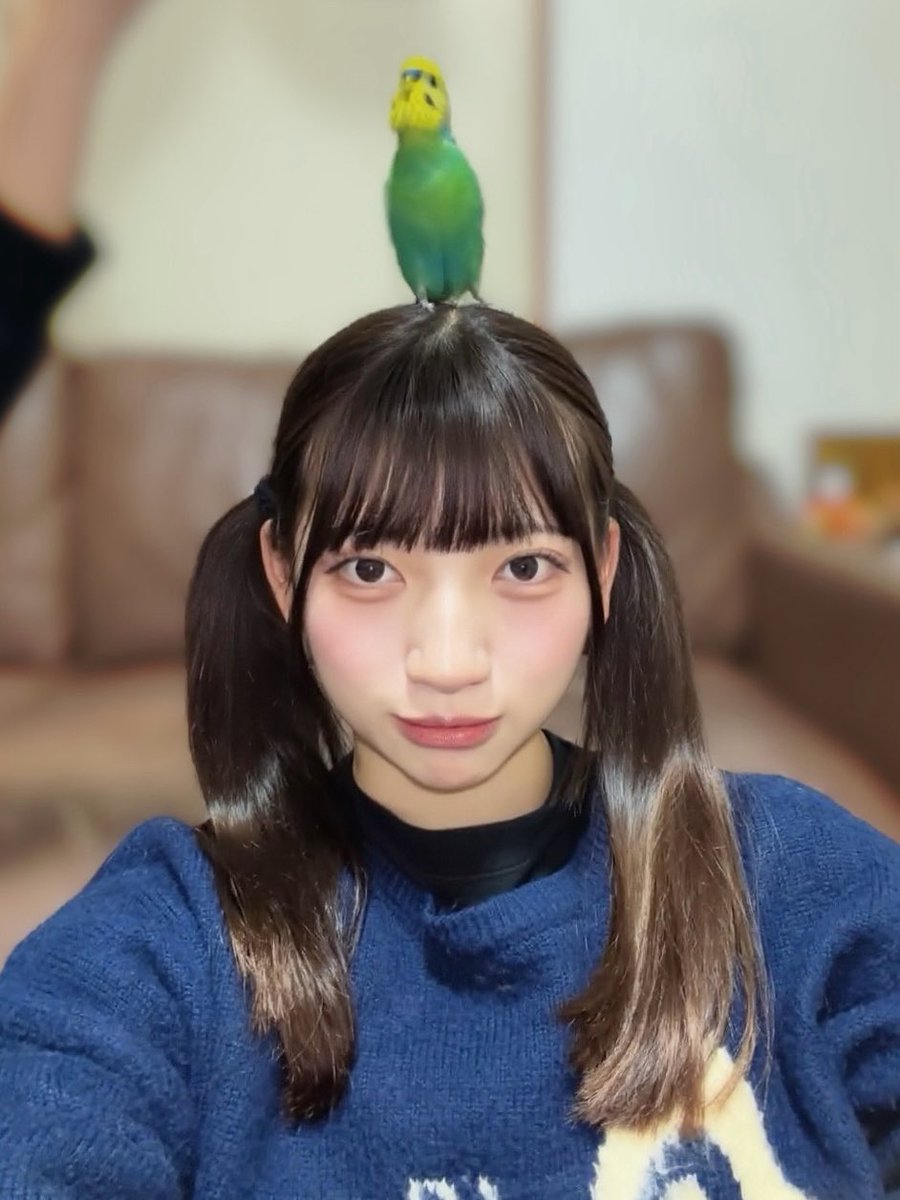 春音友希 tweet media