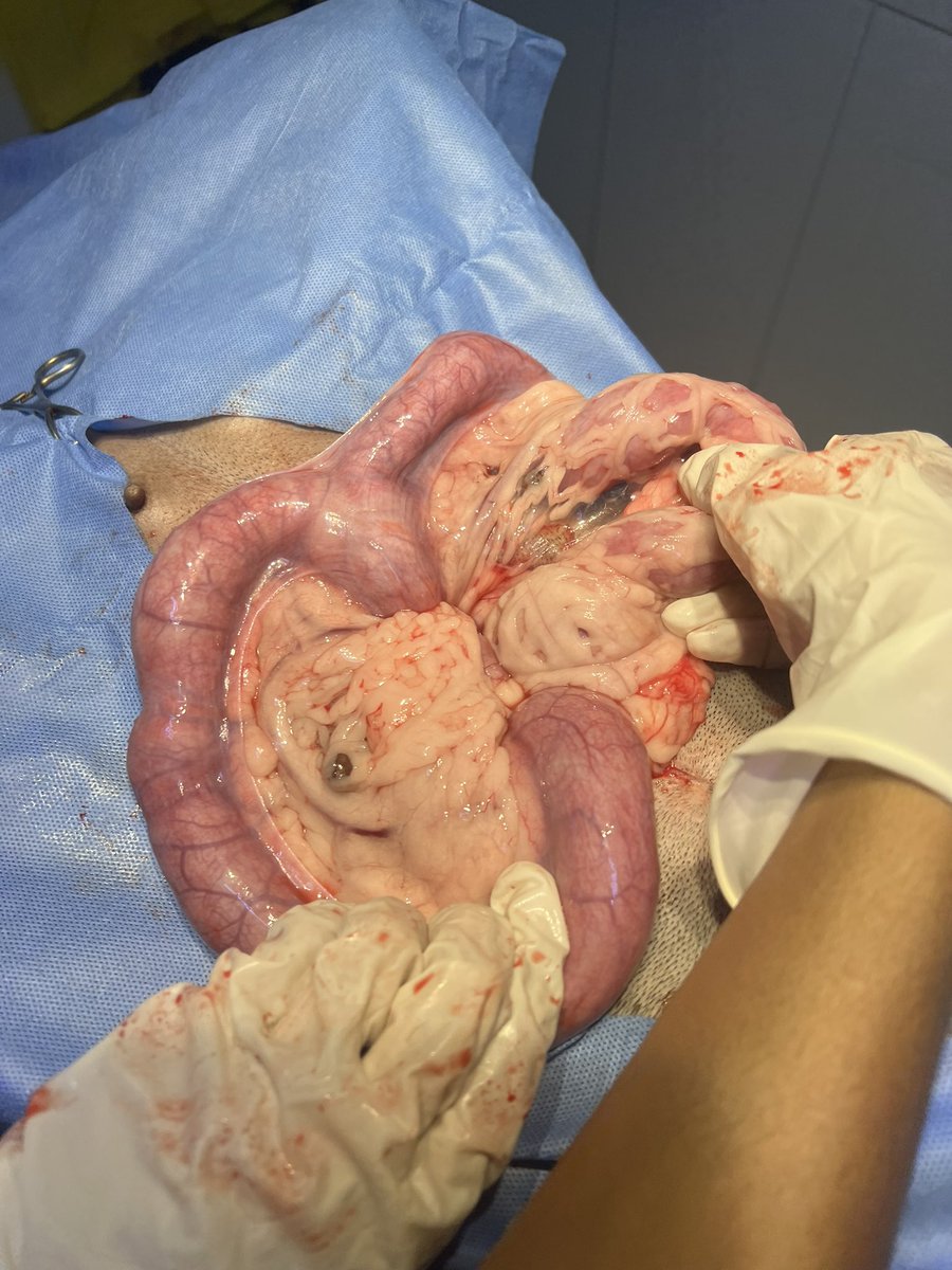 Dr. Bri Schwapp tweet media