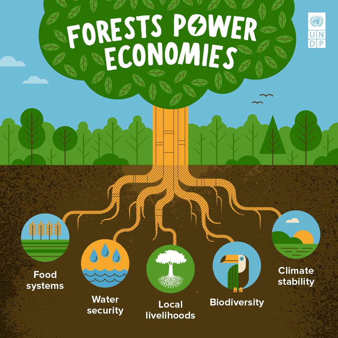 UNDP Planet tweet media