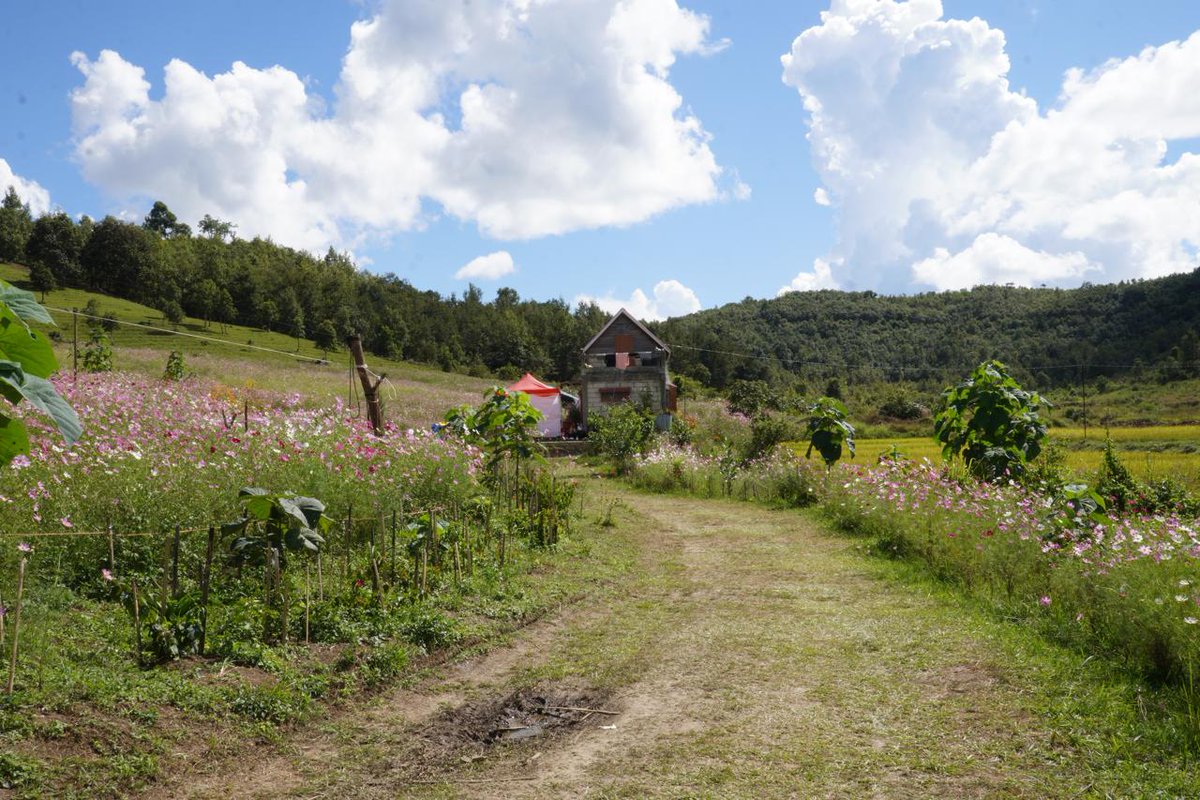 MDoNER India tweet media