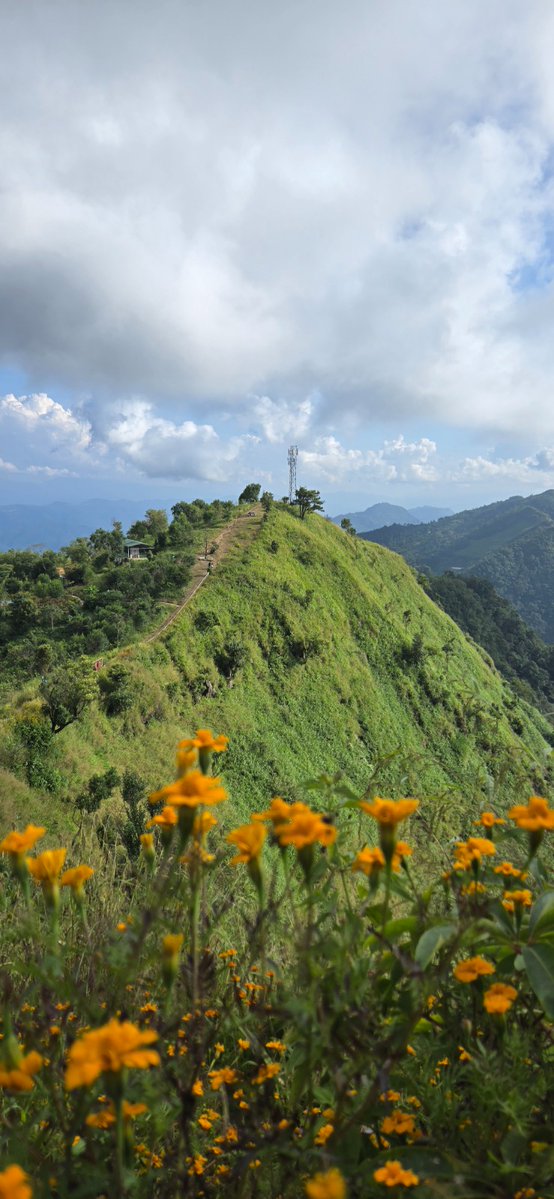 MDoNER India tweet media