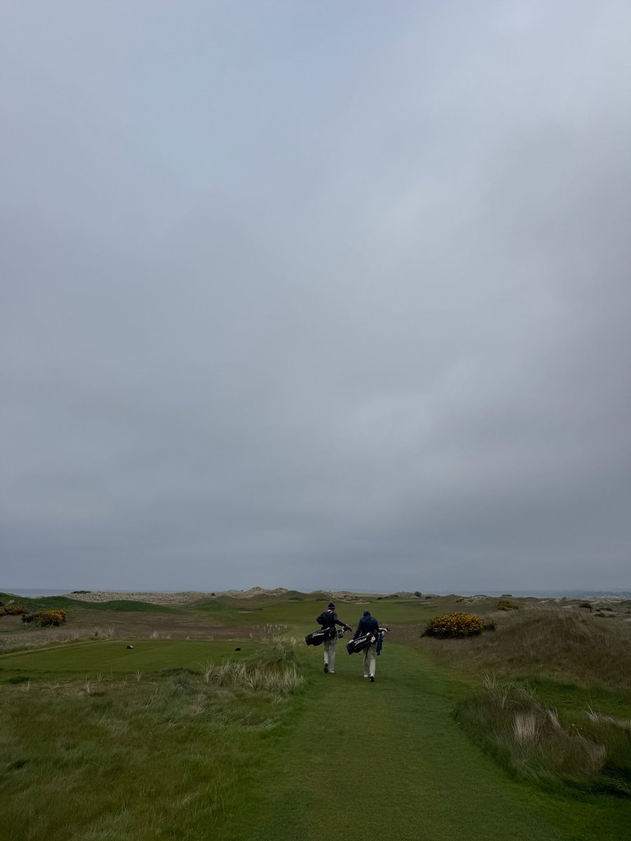 Seth Raynor II tweet media