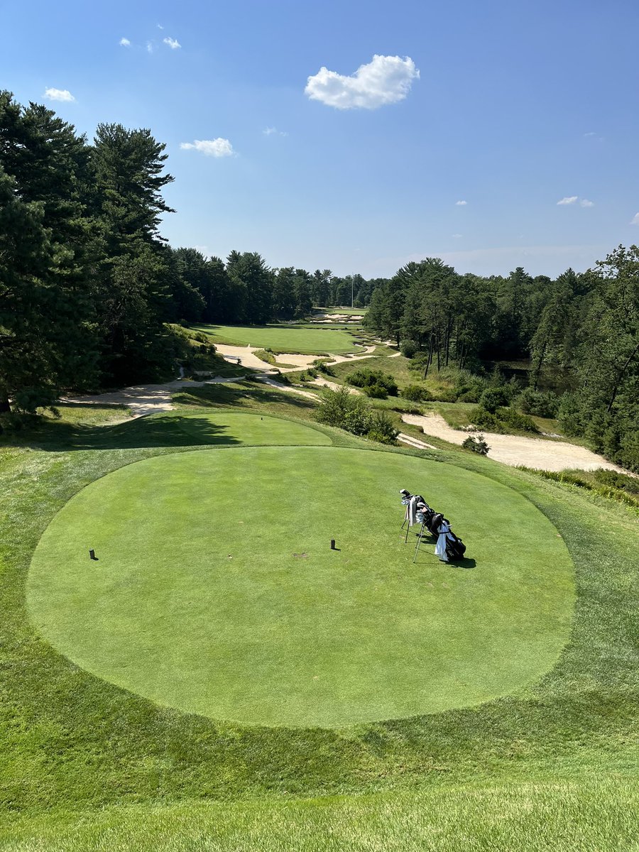 Seth Raynor II tweet media