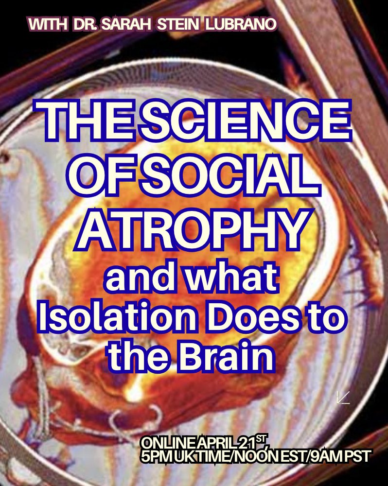 Sarah Stein Lubrano tweet media