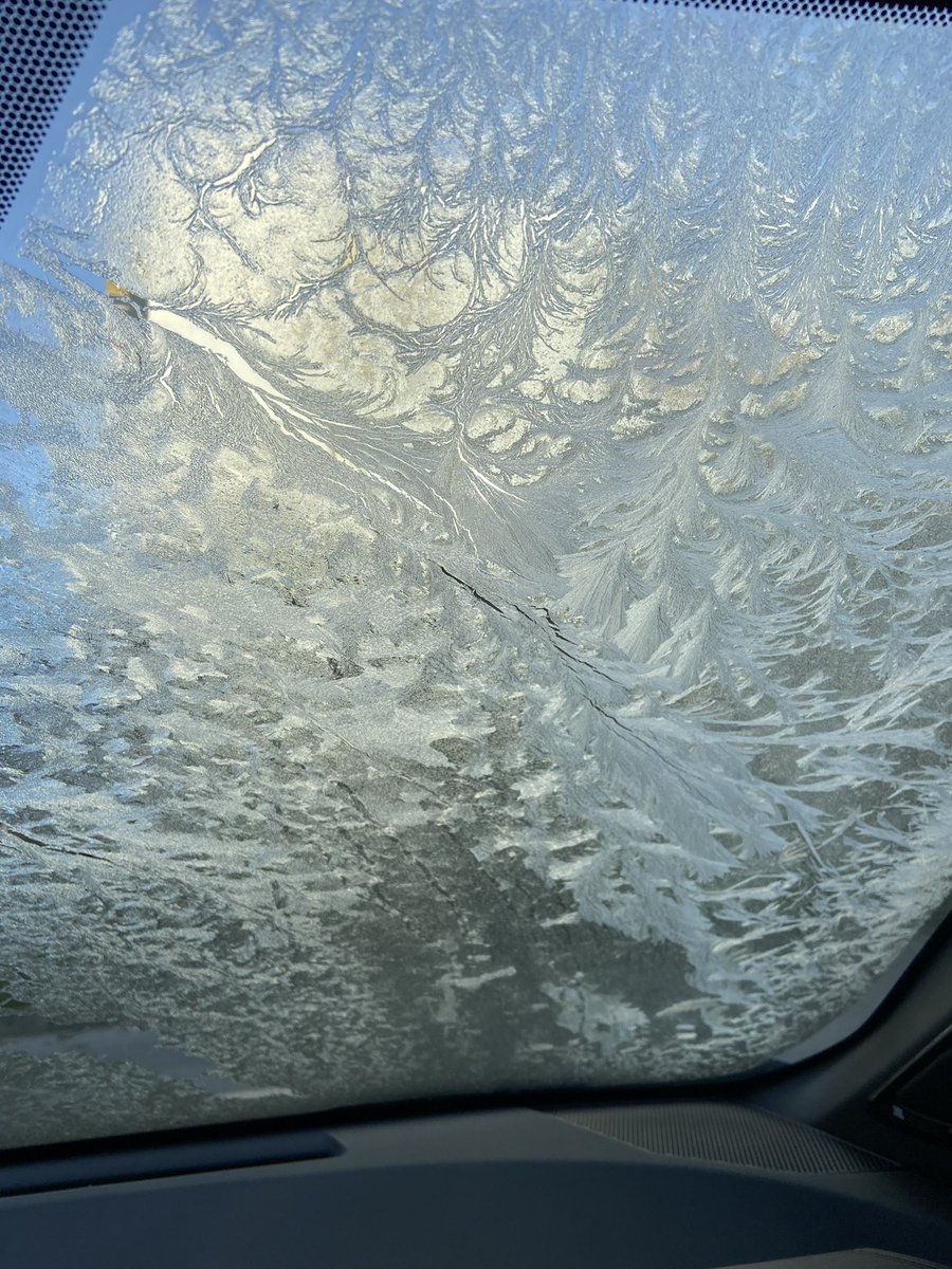 Alek Asaduryan tweet media