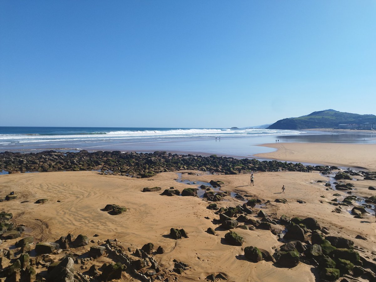 Ángela Redondo Almandoz tweet media