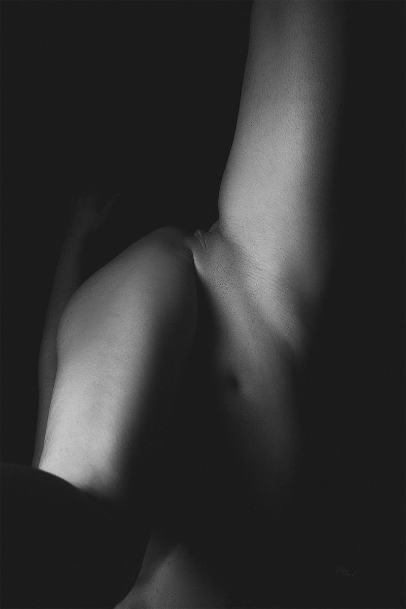 Damirezphotography tweet media