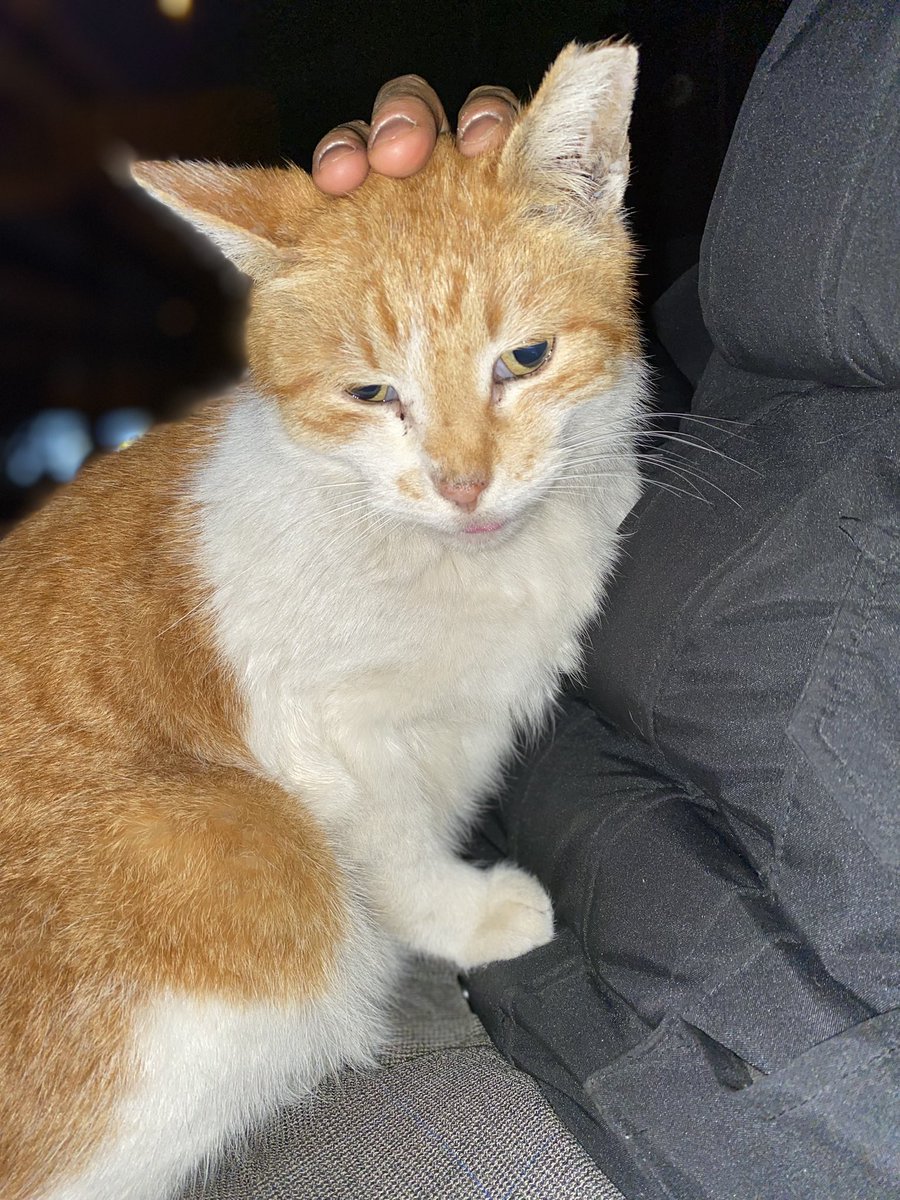 hara.bst tweet media