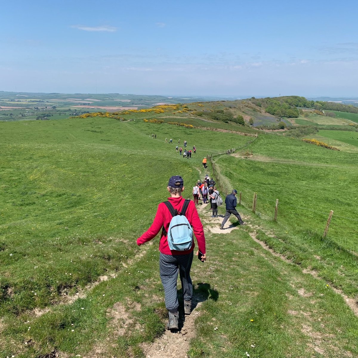 Isle of Wight Walking Festival tweet media