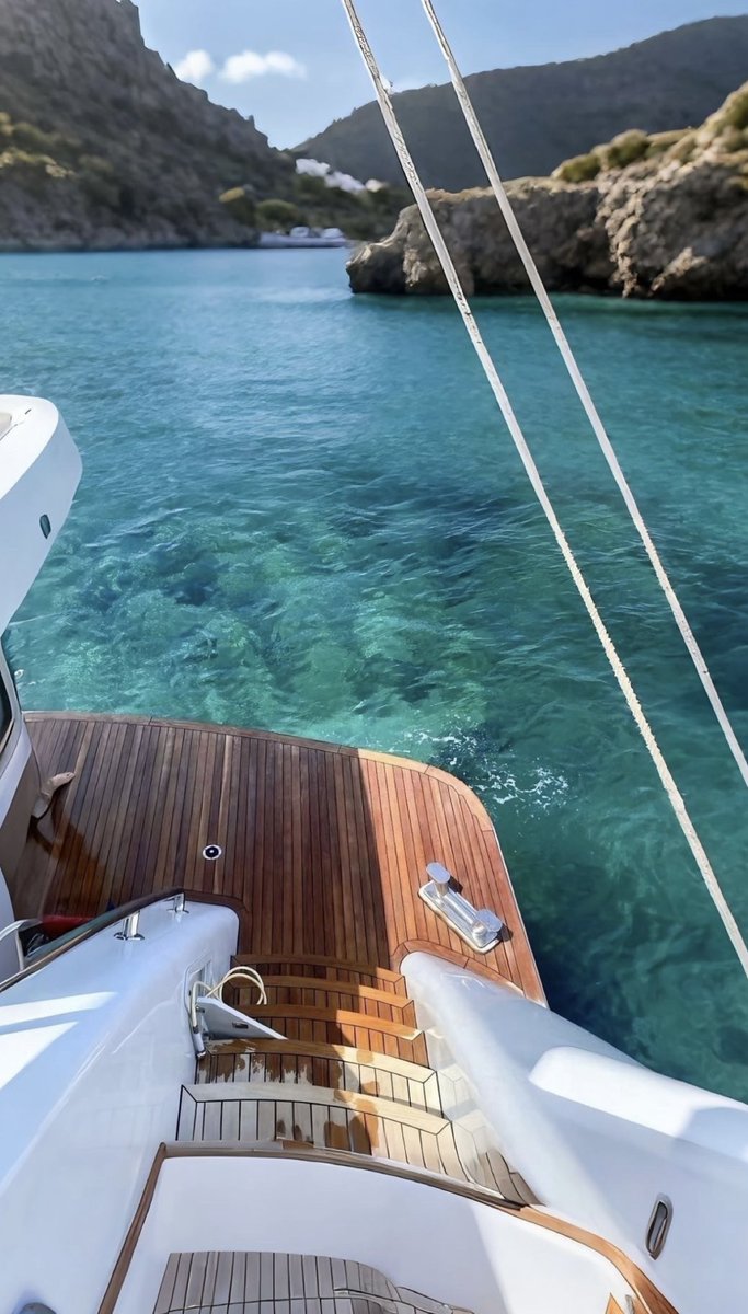 EvaLovesDesign's tweet photo. i’d rather be here 🐟🐠 https://t.co/WWyGKbZXEy