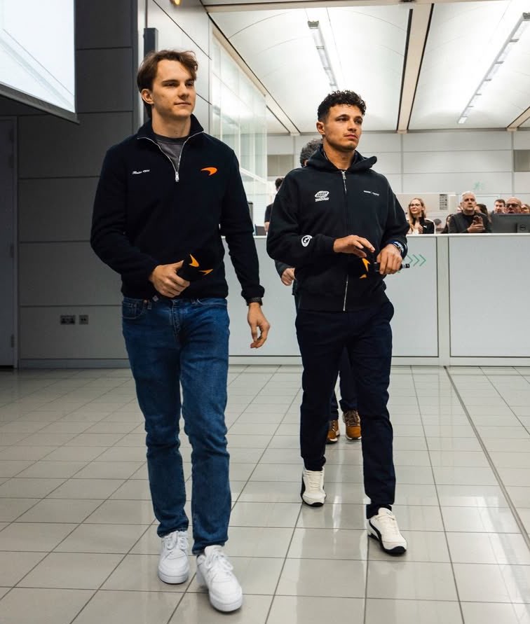 tt ⁴⁸¹ 🐨 tweet media