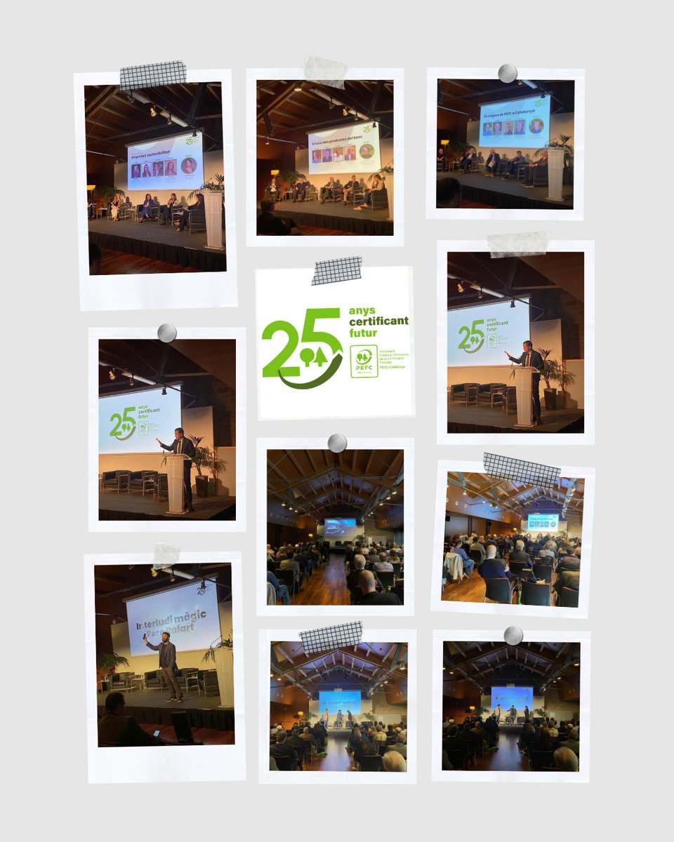 PEFC Catalunya tweet media