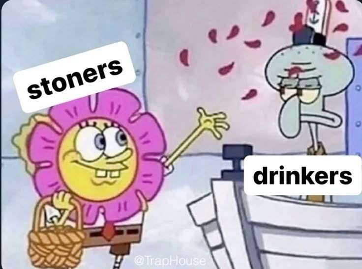 💨🍃 tweet media