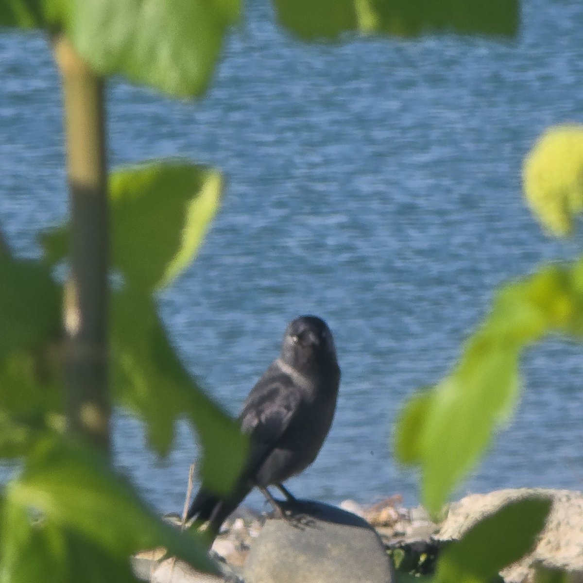 newspectres tweet media