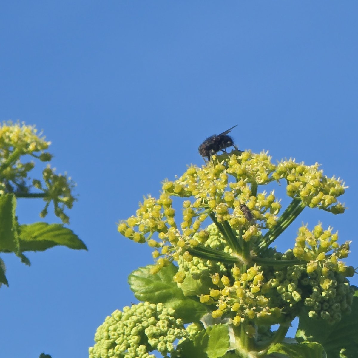 newspectres tweet media