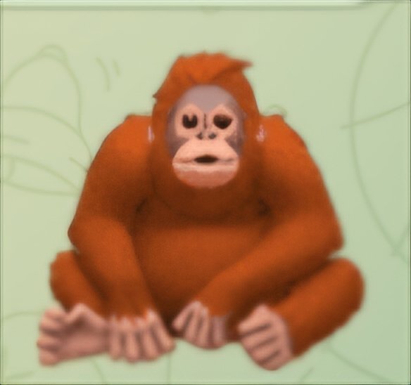 dumpstar 🍯🦡 tweet media