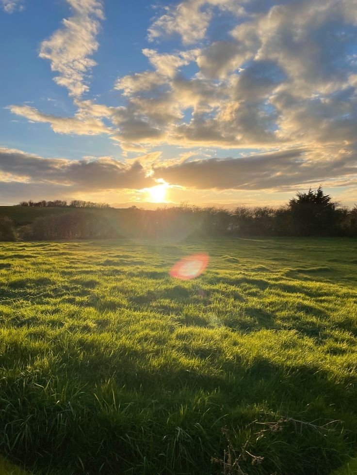 Nathan Trimmer tweet media