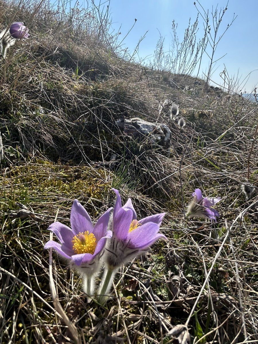 Leoš Verner tweet media