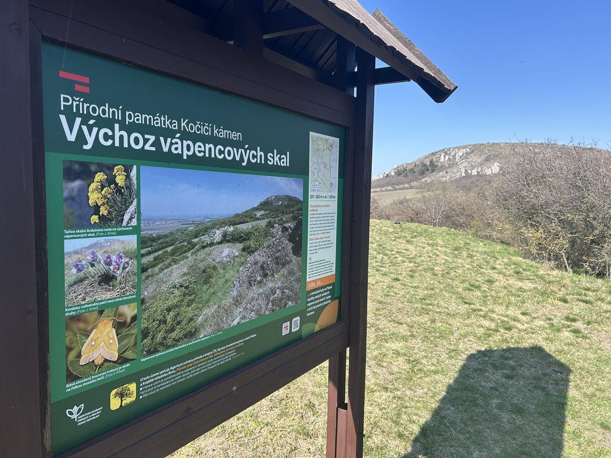 Leoš Verner tweet media