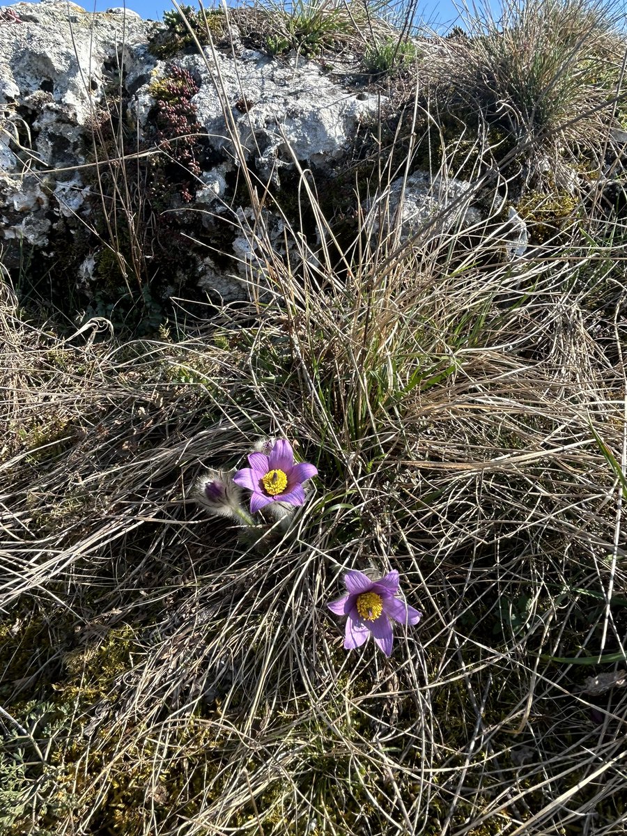 Leoš Verner tweet media