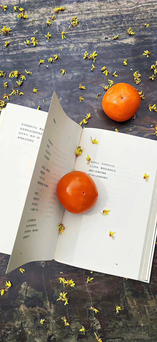 Ellen Elzerman tweet media