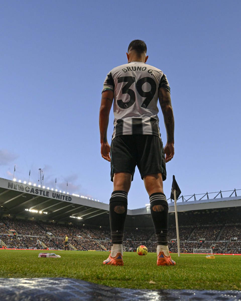 Newcastle Brasil tweet media